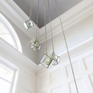 12 DIY Projects That Bring Nature Indoors Image